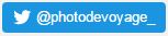 Bouton Twitter